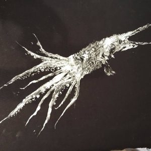 Underwater Bosses photo