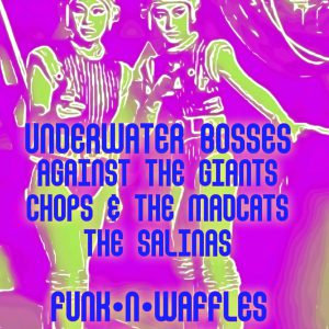 May 21 at Funk’n Waffles in Syracuse with the Salinas, Chops and the Madcats and Against The Giants!