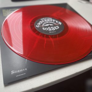 Underwater Bosses photo